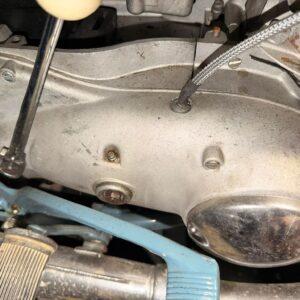 WhatsApp Image 2026-02-18 at 22.22.287